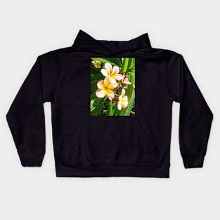 plumeria-flowers-frangipani-floral-awesome-bossoms-shirtyshirto-99 Kids Hoodie